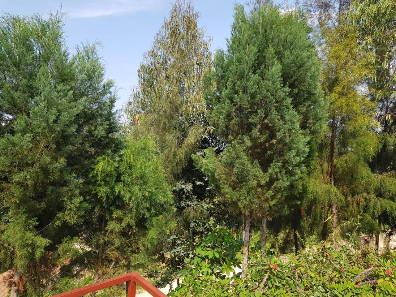 Rebero Kivu Resort Kibuye Екстер'єр фото