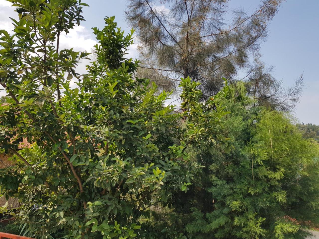 Rebero Kivu Resort Kibuye Екстер'єр фото